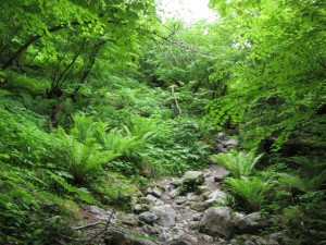 写真 (16)